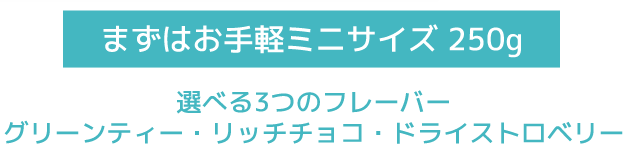 まずはお手軽ミニサイズ 250ｇ